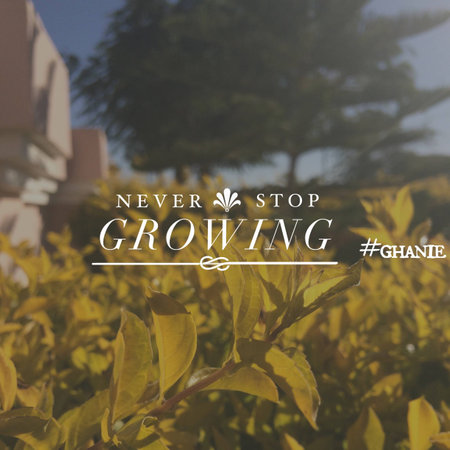 Never Stop Growingの素材