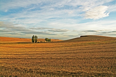 Riojaの写真素材