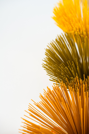Basil spaghetti, tomato spaghetti, spaghetti. Top view.の写真素材