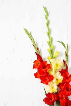 Bouquet of fresh yellow and orange gladiolus flower close-up on white wooden background with copy spaceの写真素材