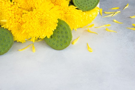 Chrysanthemum flowers, lotus seeds in pods on light background. Chinese mid-autumn festival food.の写真素材