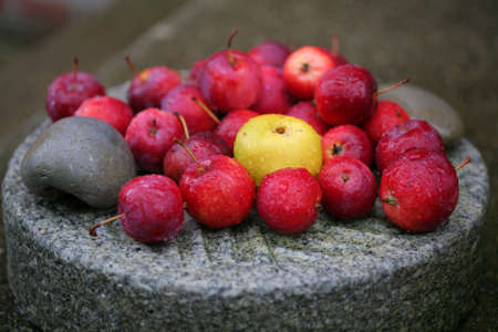 A selection of autumn fruit: rainwet red apples and yellow quince on a grinding stone