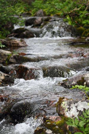 stream rushing makes a small waterfall with rocks and vegetationの写真素材