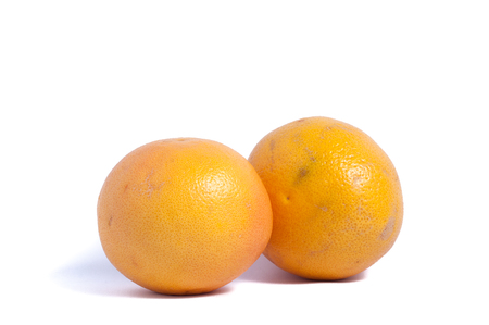 Two grapefruits isolatedの写真素材