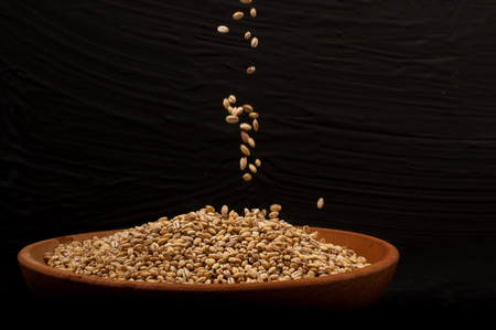 Whole grain of pearl barley or wheat spill on right black background.の写真素材