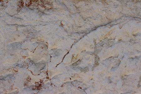 Soil, ground Background textureの写真素材