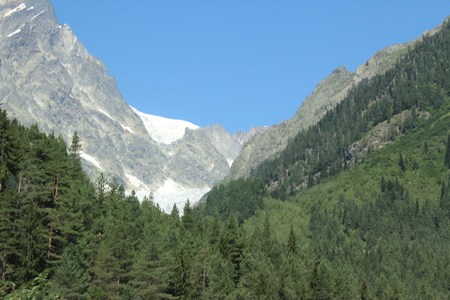 A green forest with an iceberg in the background in georgiaの写真素材