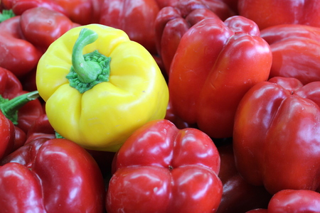 Yellow Pepper on a pile of red peppers at the market stallの写真素材