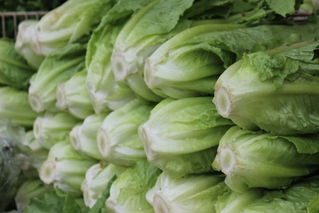 Lettuce at a stall in the marketの写真素材