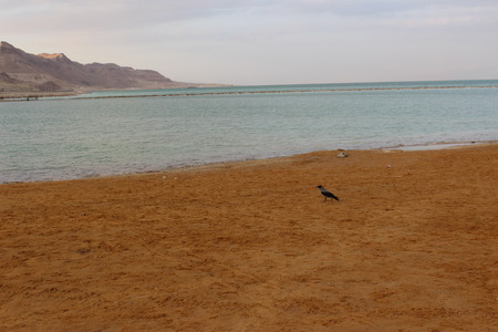 The Dead Sea in Israel at dusk timeの写真素材