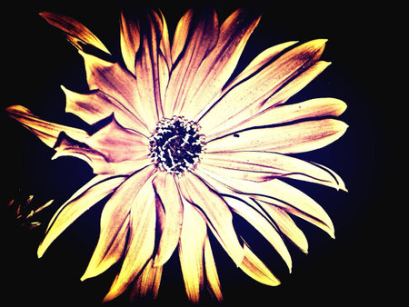 Being creativelyの素材