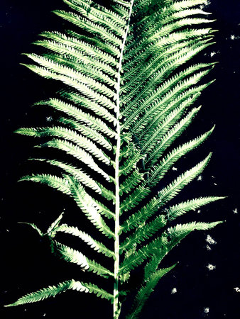 Being creativelyの素材