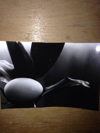 Being creativelyの素材