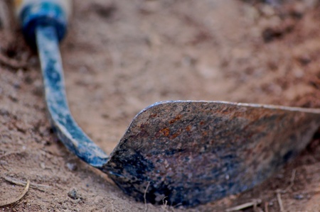 Garden Toolsの写真素材