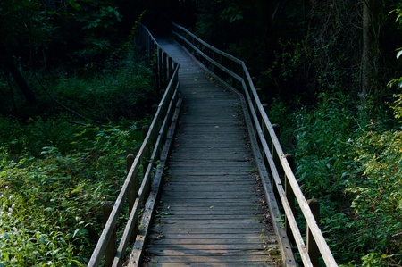 Wooden Bridge Leading into the Wood at Allaire State Park, New Jerseyの写真素材