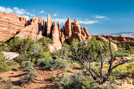 Rocks and desertic vegetation in the sector of Devil's Garden in Arches National Parkの写真素材