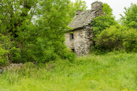 Ruin of an old farmhouse surrounded by greenery on the way to santiago de Compostela in Aubracのeditorial素材