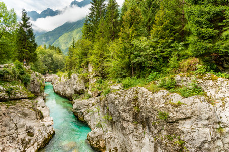 Landscape of Slovenia. The turquoise waters of the SoÄa River flow through a narrow gorge through...