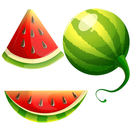 watermelon, watermelon slicesのイラスト素材