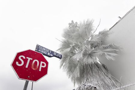 LOS ANGELES, USA - MAY 2015 Red Stop Sign by a White House 9686のeditorial素材