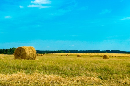 Hay and straw bales in the end of summerの写真素材