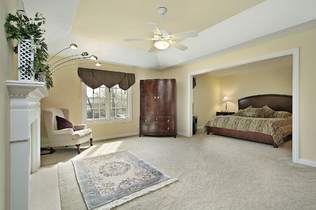 Master bedroom in luxury home with fireplaceの写真素材