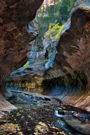 Vertical of small cascades and pools at the entrance to the Subway, a unique tunnel scuplted by the Left Fork of North Creek in Zion National Park, Utahの写真素材