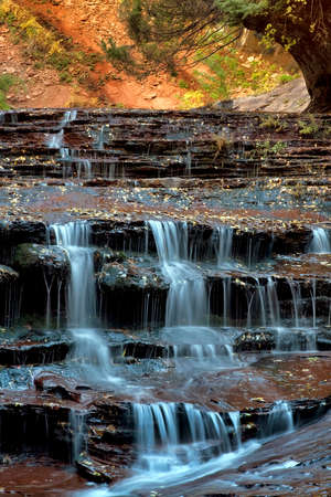 Vertical of cascades and terraces along the Left Fork of North Creek in the Subway section in Zion National Park, Utahの写真素材