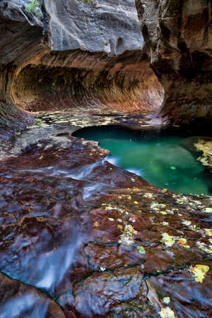 Vertical of green pool, flowing water and a circular rock formation at the Subway, a unique tunnel scuplted by the Left Fork of North Creek in Zion National Park, Utahの写真素材