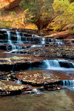 Vertical of cascades and terraces along the Left Fork of North Creek in the Subway section in Zion National Park, Utahの写真素材