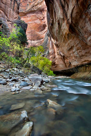 Vertical photo of a rocky section of the Virgin River Narrows with curved walls and a steep boulder field, Zion National Park, Utahの写真素材