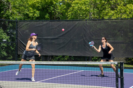 Two pickleball players in action at the net on a suburban pickleball court during summer.の写真素材