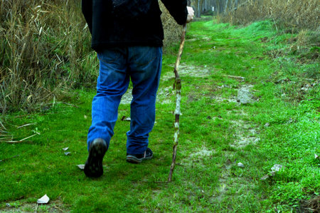 Hiker walking along a grass path laning on a caneの写真素材