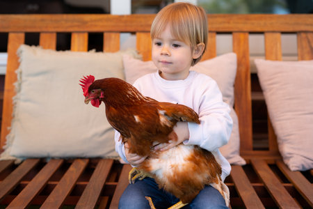 Little boy is holding the hen sitting at homeの写真素材