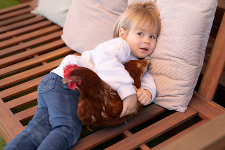 Little boy is playing with a hen in the garden at homeの写真素材