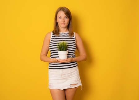 Young beautiful woman holding small plant pot over isolated yellow background with a confident expression on smart face thinking seriousの写真素材