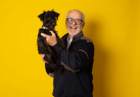 Senior smiling man hugging his schnauzer puppy isolated over yellow background.の写真素材