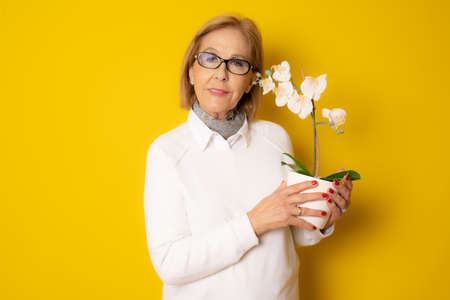 Mature woman holding an orchid flower in a pot isolated on yellow backgroundの写真素材