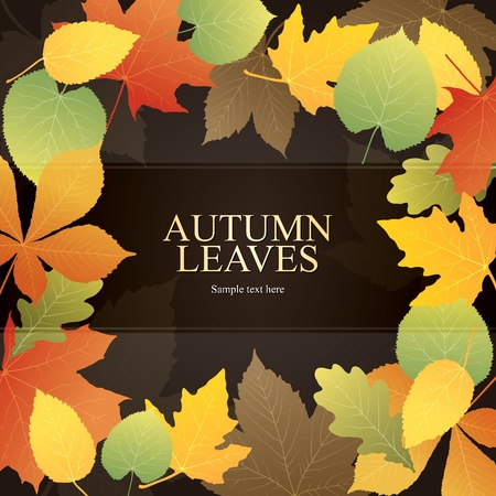 Autumn background with bright leaves のイラスト素材