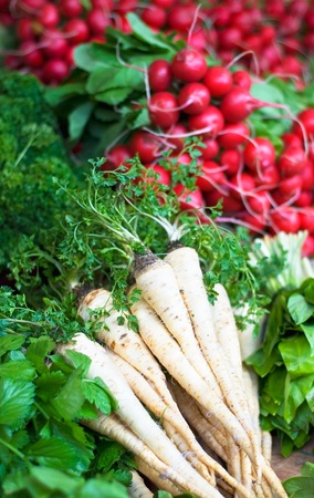 Fresh vegetables lettuce & radish `の写真素材