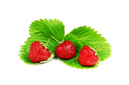 Strawberries with leaves の写真素材