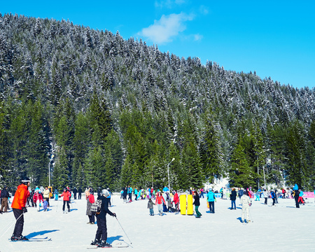 Mountain. Skiers climbing on the piste. Ski resort. Ski track. People ski on snow in the winter. Pine forestのeditorial素材