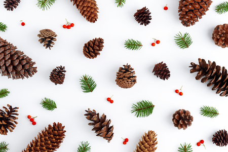 Holiday postcard. Xmas pattern of fir branches, Christmas berries, cones on a white backgroundの写真素材