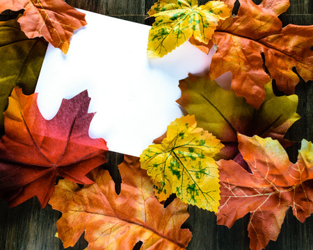 Colorful Fall Leaves with White Paper for Copy Space