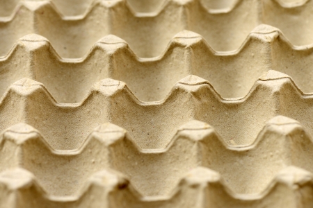 egg shell tray