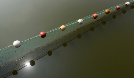 The nets in the water and float の写真素材