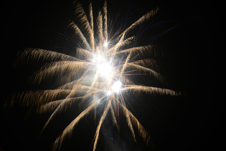 Colorful fireworks bloomed in the night sky 