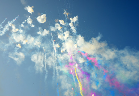 Colorful fireworks bloom in the air 
