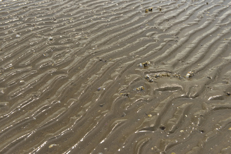 After the tide beautiful beaches