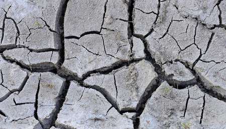 Close-up of dry ground